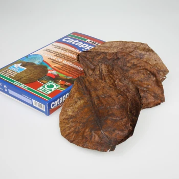 Catappa XL Feuilles de catappa séchées présentées à côté d'une boîte colorée étiquetée "JBL Catappa," conçue pour un usage aquatique.