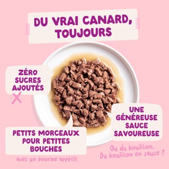 Bol de nourriture humide pour animaux en dés de canard en sauce sur fond rose avec le texte : « DU VRAI CANARD, TOUJOURS » ; « ZÉRO SUCRES AJOUTÉS ».