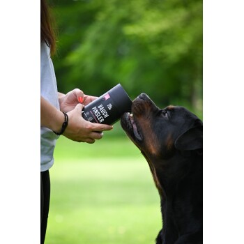 Person bietet einem Rottweiler in einem grünen Park einen schwarzen Behälter mit der Aufschrift „BAUCH PINSULER“ zum Schnüffeln an.