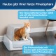 Eine rote Katze steht in einer abgedeckten Katzentoilette, mit Text, der ihre Privatsphäre und Gesundheitsüberwachungsfunktionen hervorhebt.