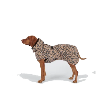Brauner Hund, der einen sandfarbenen und schwarzen, leopardenbedruckten Hundemantel trägt, vor weißem Hintergrund.