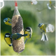 Vogelfutterhaus mit Erdnüssen und Sonnenblumenkernen, umgeben von fünf kleinen bunten Vögeln, zwei davon im Flug.