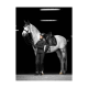 Ein Reiter in schwarzer Reitkleidung steht neben einem grauen Pferd mit Sattel und Zaumzeug, vor einem dunklen Hintergrund.