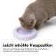 Eine hellgraue Katze frisst aus einer lila erhöhten Futterschüssel. Der Text lautet "Leicht erhöhte Fressposition" und erklärt die Vorteile für Katzen.