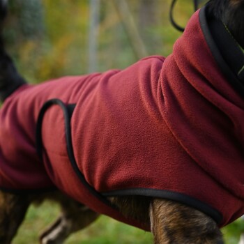 Hund trägt draußen einen roten Fleece-Mantel mit schwarzem Besatz, zeigt Seiten- und Halsbereich, kein sichtbarer Text.