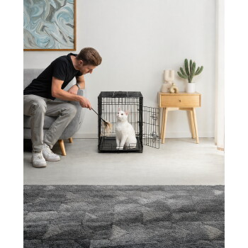 Mann spielt mit einer weißen Katze in einer offenen schwarzen Drahtbox mit einem Feder-Spielzeug in einem Wohnzimmer.