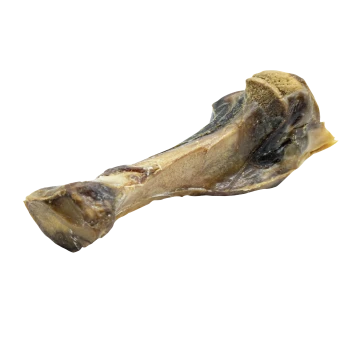 Une grande friandise en forme d'os pour chien avec une texture charnue, présentant une extrémité effilée et une surface rugueuse, sur fond blanc.