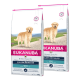 Eukanuba Rasse-spezifisches Trockenfutter für Golden Retriever, 12kg Säcke, gekennzeichnet für erwachsene Hunde, mit einem Golden Retriever auf der Vorderseite.