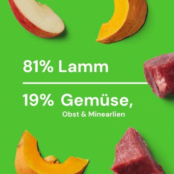 Grüner Hintergrund mit Text "81% Lammm" und "19% Gemüse, Obst & Mineralien", plus Apfel-, Kürbis- und rohe Lammstücke.