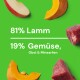 Grüner Hintergrund mit Text "81% Lammm" und "19% Gemüse, Obst & Mineralien", plus Apfel-, Kürbis- und rohe Lammstücke.