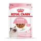 Pochette de nourriture Royal Canin pour chaton, 85g, présentant des morceaux dans une sauce, adaptée aux chatons jusqu'à 12 mois, avec une image de chat et une étiquette 'Sans conservateurs'.