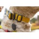 Nahaufnahme des Halses eines Hundes mit einem leuchtend gelben Halsband mit schwarzer Schnalle und einem Etikett. Das Halsband ist um das Fell des Hundes gesichert.