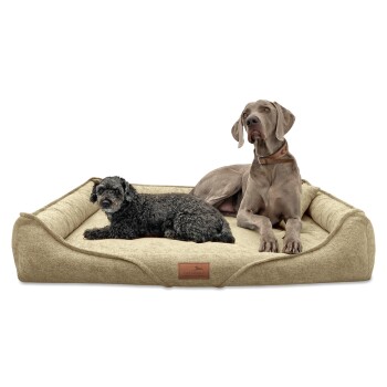 Zwei Hunde, ein kleiner schwarzlockiger Hund und ein großer grauer Weimaraner, ruhen zusammen auf einem plüschigen beigen Hundebett.