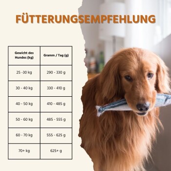 Fütterungsempfehlungstabelle für Hunde, die Gewichtskategorien (kg) und entsprechende tägliche Futtermengen (g) zeigt, mit einem Golden Retriever, der ein Spielzeug hält.