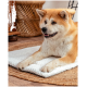Ein flauschiger Akita-Hund, der auf einer weichen weißen Matte ruht, mit einem geflochtenen Korb und Holzmöbeln im Hintergrund.