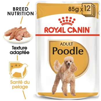 Emballage de nourriture pour chiens Royal Canin Adult Poodle, avec une illustration de caniche, avec un texte mettant en avant la nutrition de la race et la santé du pelage.