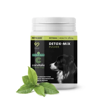 Behälter mit "Detox-Mix Pulver" für Hunde, mit einer schwarzen und weißen Hundesilhouette, grünen Akzenten und Text, der die Vorteile für die Bauchgesundheit hervorhebt.