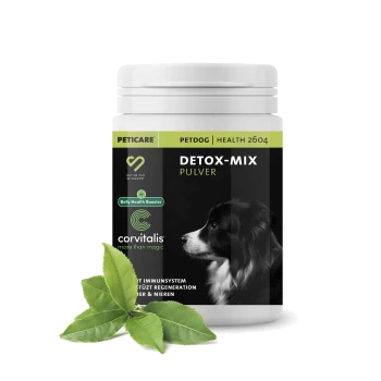 Behälter mit "Detox-Mix Pulver" für Hunde, mit einer schwarzen und weißen Hundesilhouette, grünen Akzenten und Text, der die Vorteile für die Bauchgesundheit hervorhebt.