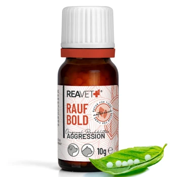 Flasche REAVET Rauf Bold, ein natürliches Haustierergänzungsmittel gegen Aggression, mit 10g Produkt und weißen Pellets auf einem grünen Blatt.