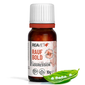 Flasche REAVET Rauf Bold, ein natürliches Haustierergänzungsmittel gegen Aggression, mit 10g Produkt und weißen Pellets auf einem grünen Blatt.