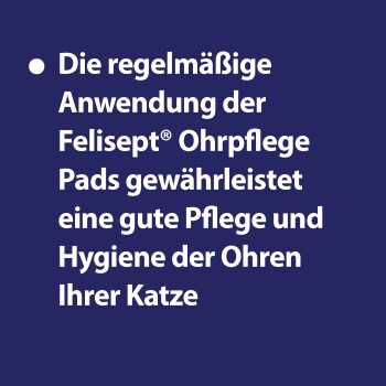 Eine neugierige silberne Tabbykatze sitzt auf einem weichen Katzenbaum und schaut mit leuchtend grünen Augen nach oben. Der Text "Einfache Anwendung" wird darüber angezeigt.