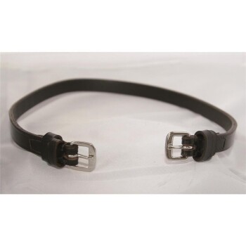 Ein brauner Leder-Haustierhalsband mit silbernen Schnallen, flach auf einer weißen Oberfläche ausgelegt.