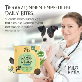 Ein Tierarzt hält einen kleinen Hund neben einer gelben Dose "Milo & Mia Daily Bites" für die Verdauungsgesundheit, beschriftet mit "Magen & Darm."