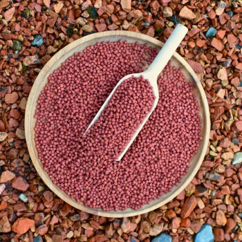 Eine Holzschüssel mit rötlichen Haustierfutterpellets mit einem Messlöffel oben, vor einem strukturierten rötlichen Kieshintergrund.