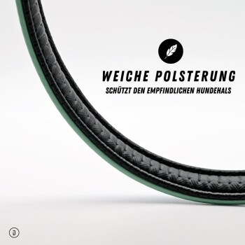 Ein sitzender Hund mit gestromtem Fell und weißer Brust, der ein grünes Halsband mit schwarzen Punkten trägt und mit offenem Mund nach oben schaut.