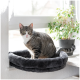 Eine getigerte Katze mit grünen Augen sitzt in einem runden, plüschigen schwarzen Haustierbett neben einem Fenster, mit einer kleinen Topfpflanze im Hintergrund.