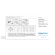 Vorderseite der Verpackung des getTested-Felinen-Leukämievirus-Antigen-Schnelltestkits mit Anweisungen, Inhaltsangabe und Logo