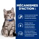 Chaton tigré gris avec collier bleu à côté d'un texte en français détaillant les bienfaits digestifs et nutritionnels de la nourriture pour animaux.