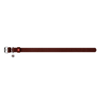 Bruine leren hondenhalsband met zilverkleurige gesp, rood logotabje en ronde zilveren ID-tag.