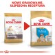 Dwie torby karmy dla psów Royal Canin oznaczone "Junior Bulldog" i "Puppy Bulldog," z czerwoną strzałką pokazującą przejście.