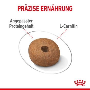 Bild eines Haustierfutterkibbles mit einem Loch in der Mitte, gekennzeichnet mit 'PRÄZISE ERNÄHRUNG', das 'Angepasster Proteingehalt' und 'L-Carnitin' hervorhebt.