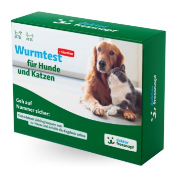 Dr. Fressnapf Wurm- & Giardientest für Hunde und Katzen