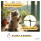 Katzennetz drahtverstärkt grün 4 m, 3 m