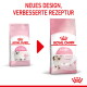 Zwei Royal Canin Kitten-Futtersäcke (alt links, neu rechts) mit rotem Pfeil; sichtbarer Text 'NEUES DESIGN, VERBESSERTE REZEPTUR' und 'ROYAL CANIN KITTEN Up to 12 months'