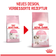 Zwei Royal Canin Kitten-Futtersäcke (alt links, neu rechts) mit rotem Pfeil; sichtbarer Text 'NEUES DESIGN, VERBESSERTE REZEPTUR' und 'ROYAL CANIN KITTEN Up to 12 months'