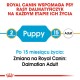 Informacje o produktach Royal Canin dla psów rasy Dalmatyńczyk, wskazujące etapy karmienia: 'Szczeniak' w wieku 2 miesięcy i 'Dorosły' w wieku 15 miesięcy.