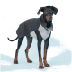 Ein Dobermann, der einen stilvollen grauen und schwarzen Haustiermantel trägt, steht vor einem hellblauen Hintergrund und zeigt seine schlanke Statur und aufmerksame Haltung.
