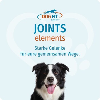 Schwarz-weißer Border Collie, der unter dem 'DOG FIT'-Logo lächelt, und großem Schriftzug 'JOINTS elements'.
