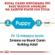 Produkt Royal Canin dla buldogów angielskich, wskazujący etapy: "Szczeniak" dla 2 miesięcy i "Dorosły" dla 12 miesięcy, z notatką o przejściu.
