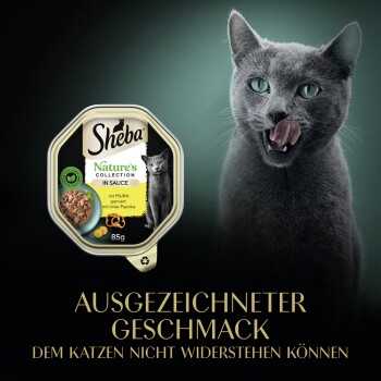 Sheba Katzenfutterverpackung für "Nature's Collection in Sauce" mit Hähnchen und rotem Pfeffer, plus eine graue Katze, die sich die Lippen leckt.