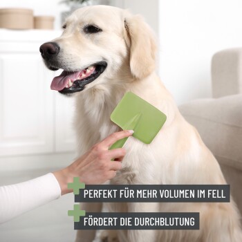 Eine Person bürstet einen Golden Retriever mit einem grünen Werkzeug, das mit "Perfekt für mehr Volumen im Fell" und "Fördert die Durchblutung" beschriftet ist.