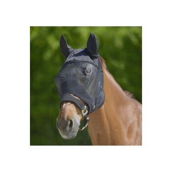 Ein braunes Pferd mit einer schwarzen Fliegenmaske mit Ohrenschutz, vor einem verschwommenen grünen Hintergrund.