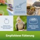 Zwei bunte Papageien, einer frisst, mit Fütterungstipps: "Schalen entfernen," "Frei anbieten," "Frisches Obst und Gemüse hinzufügen." Titel: "Fütterungstipps."