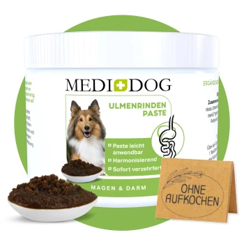 Ulmenrinde Paste