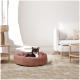 Ein kleiner schwarz-brauner Hund sitzt bequem in einem runden, plüschigen rosa Hundebett auf einem hellen Teppich, mit einem modernen Wohnzimmer im Hintergrund.