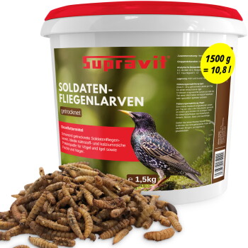 Supravit getrocknete Soldatenfliegenlarven (Soldaten‑Fliegenlarven), 1,5‑kg‑Dose, Haufen von Larven und Vogel auf dem Etikett.